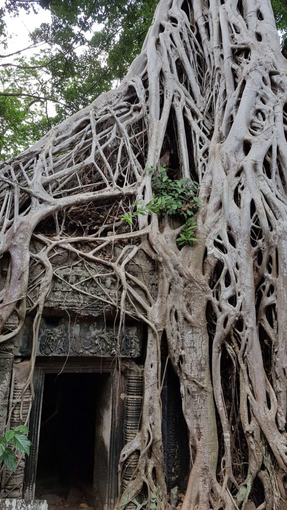 Kambodża - Siem Reap i Angkor Wat - Zakręcona Podróżniczka