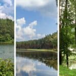 Auksztocki Park Narodowy – Jak zaplanować wycieczkę do litewskiej krainy tysiąca jezior?