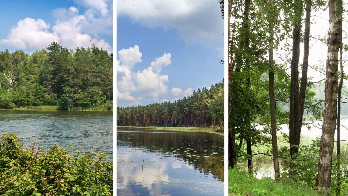 Auksztocki Park Narodowy – Jak zaplanować wycieczkę do litewskiej krainy tysiąca jezior?